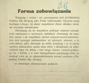 Текст присяги армійця Польських військ в Україні